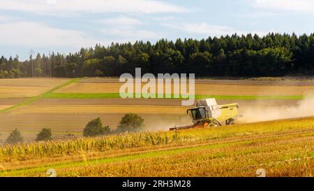 Allemagne, 11 août 2023 : moissonneuse-batteuse CLAAS au travail. Banque D'Images
