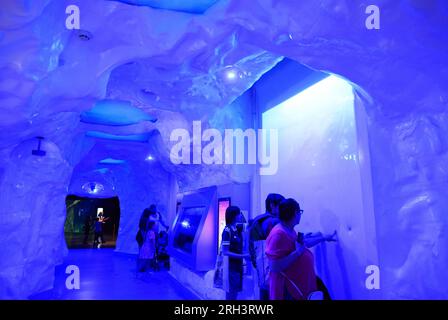 À l'intérieur du célèbre aquarium The Deep, avec plus de 3000 créatures, à Kingston upon Hull, East Riding of Yorkshire, Royaume-Uni Banque D'Images