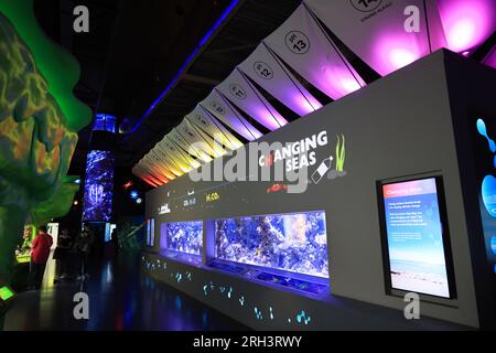 À l'intérieur du célèbre aquarium The Deep, avec plus de 3000 créatures, à Kingston upon Hull, East Riding of Yorkshire, Royaume-Uni Banque D'Images