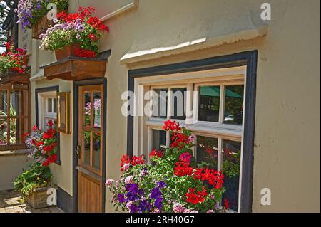 Pub anglais traditionnel 'The Samuel Palmer' dans le village Kent de Shoreham. Banque D'Images