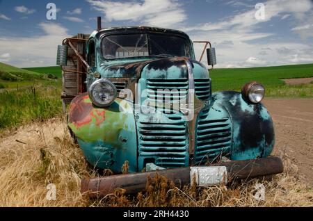 Camion à plateau Dodge 1946 rouillé dans un champ près de Pullman, Washington, États-Unis. Banque D'Images