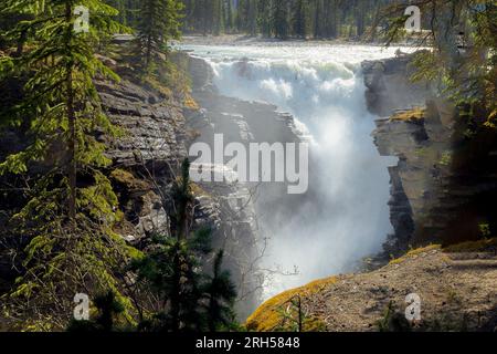 Puissantes chutes Athabasca en Alberta, Canada. Banque D'Images