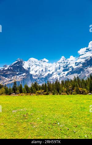 Vue sur les montagnes, les prairies et la forêt entourant le lac Oeschinen, les Alpes suisses, la Suisse Banque D'Images