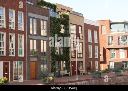 Maison en rangée moderne avec façade verte de plus de 4000 plantes à Graaf Floriskade, ville néerlandaise Delft par FARO Architects, pays-Bas, octobre 2021 Banque D'Images