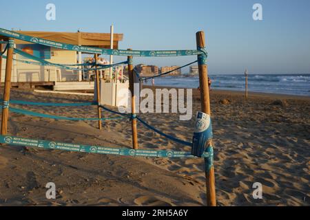 Nid de tortues. Site de nidification de tortues marines à tête commune. Des constructions spéciales protégeaient les oeufs de tortues sur Acciaroli, Pollica, Cilento, Italie Banque D'Images