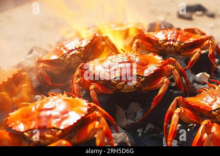 Vue détaillée captivante d'un crabe de mer, mettant en valeur sa beauté naturelle et ses textures. Banque D'Images