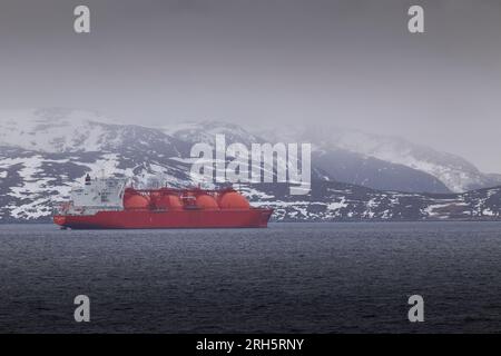 Le réservoir de gaz naturel liquéfié de 288 m, ARCTIC PRINCESS, peint en orange international, ancré au large de Hammerfest, dans le nord arctique de la Norvège. 8 mai 2023 Banque D'Images
