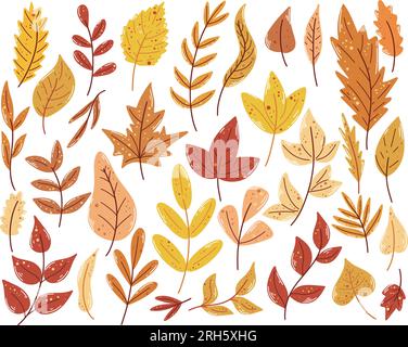 Feuilles d'automne dessinées à la main. Collection colorée lumineuse feuillage d'automne. Feuille de frêne, chêne, érable, frêne de montagne, bouleau et autres arbres. Feuilles de saison fal Illustration de Vecteur