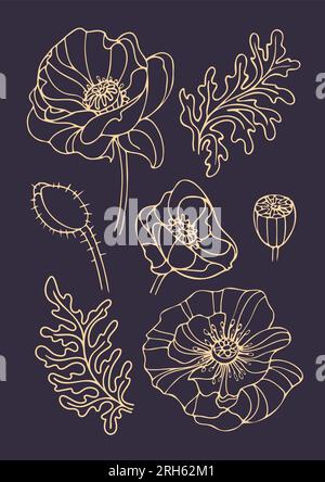 Ensemble de vintage doré ensemble de bourgeon de coquelicot gracieux dans le style dessiné à la main. Art nouveau, moderne. Fleurs printanières. Pour autocollants, affiches, cartes postales, design ele Illustration de Vecteur