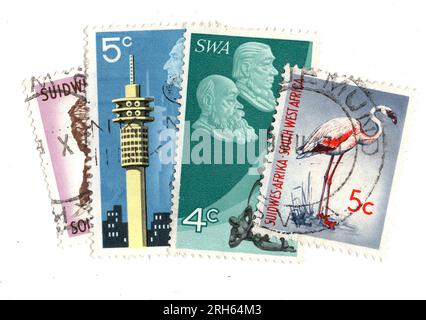 Montage de timbres-poste vintage du Sud-Ouest africain sur fond blanc. Banque D'Images