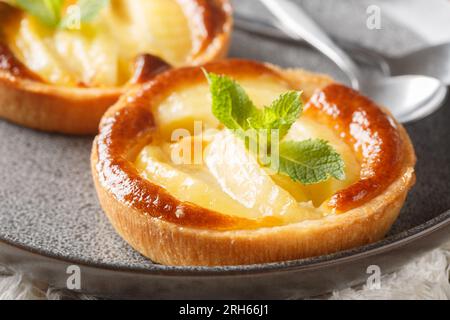 Tartelette aux pommes cuite classique avec crème anglaise et gros plan à la menthe dans une assiette sur la table. Horizontal Banque D'Images