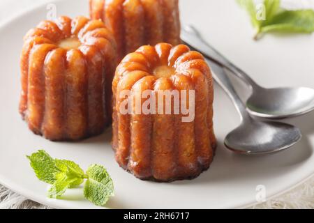 Canele est une petite pâtisserie française aromatisée au rhum et à la vanille avec un centre de crème douce et tendre et une croûte caramélisée foncée et épaisse en gros plan Banque D'Images