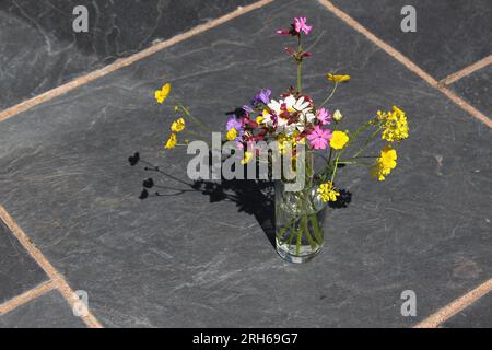 Magnifique bouquet de fleurs sauvages britanniques avec des tasses de beurre, campion rouge et Bellflowers. Concept pour ramasser des fleurs sauvages, cueillir des fleurs de prairie au printemps Banque D'Images