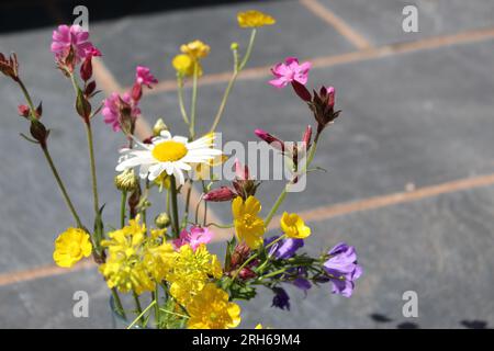 Magnifique bouquet de fleurs sauvages britannique. Concept pour la cueillette de fleurs sauvages ou la cueillette de fleurs de prairie Banque D'Images