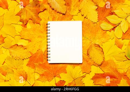 Maquette bloc-notes feuilles motif feuilles d'automne fond. Carnet de croquis sur fond d'automne saison d'automne. Carnet de papier sur fond de feuillage d'automne Banque D'Images
