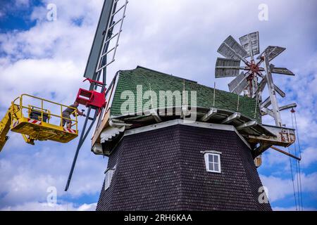 14 août 2023, Mecklembourg-Poméranie occidentale, Rövershagen : David Wippich, monteur, attache la première aile pour la nouvelle croix d'aile du moulin à vent de Rövershagen. Les quatre nouvelles ailes mesurent 10,5 mètres de long et 2,3 mètres de large. Les ailes du moulin, construit en 1881, étaient inopérantes depuis 2018 en raison de l'intrusion d'humidité et de la pourriture fongique. De plus, l'extrémité d'une aile s'était brisée lors d'une tempête en 2021. Les coûts de la restauration jusqu'à présent s'élèvent à environ 30 000 euros et sont pris en charge par la Fondation allemande pour la protection des monuments. Photo : Jens Büttner/dpa Banque D'Images