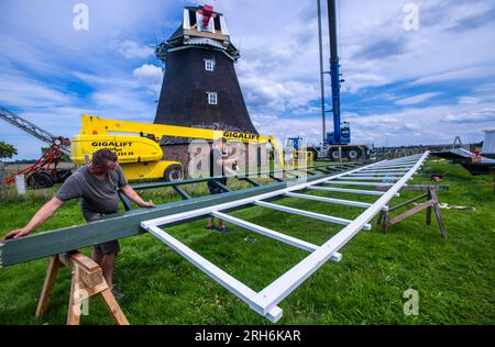 14 août 2023, Mecklembourg-Poméranie occidentale, Rövershagen : les millwrights David Wippich (à gauche) et Erik Grenda (à droite) préparent la première aile pour la nouvelle croix d'aile du moulin à vent de Mecklembourg. Les quatre nouvelles ailes mesurent 10,5 mètres de long et 2,3 mètres de large. Les ailes du moulin, construit en 1881, étaient inopérantes depuis 2018 en raison de l'intrusion d'humidité et de la pourriture fongique. De plus, l'extrémité d'une aile s'était brisée lors d'une tempête en 2021. Les coûts de la restauration jusqu'à présent s'élèvent à environ 30 000 euros et sont pris en charge par la Fondation allemande pour la protection des monuments. Photo : Jens Büttner/dpa Banque D'Images