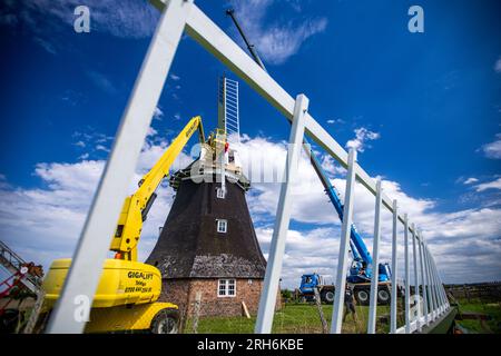 14 août 2023, Mecklembourg-Poméranie occidentale, Rövershagen : une aile pré-assemblée pour la nouvelle croix d'aile du moulin à vent de Mecklembourg peut être vue pendant les travaux. Les quatre nouvelles ailes mesurent 10,5 mètres de long et 2,3 mètres de large. Les ailes du moulin, construit en 1881, étaient inopérantes depuis 2018 en raison de l'intrusion d'humidité et de la pourriture fongique. De plus, l'extrémité d'une aile s'était brisée lors d'une tempête en 2021. Les coûts de la restauration jusqu'à présent s'élèvent à environ 30 000 euros et sont pris en charge par la Fondation allemande pour la protection des monuments. Photo : Jens Büttner/dpa Banque D'Images