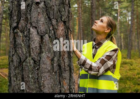 inspection et gestion des forêts, ressources renouvelables. technicien forestier féminin vérifiant la qualité de l'arbre de pin Banque D'Images