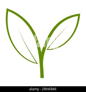 Icône de croissance germe vert feuilles de plante, la croissance feuilles lettre y Illustration de Vecteur