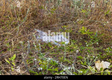 Pollution par une feuille plastique transparente dans un champ avec de l'herbe, Allemagne Banque D'Images