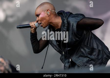 Milan, Italie. 02 juillet 2023. MILAN, ITALIE - JUILLET 2 : Skin of Skunk Anansie joue aux I-Days 2023 Ippodromo Snai la Maura Milan le 2 juillet 2023 à Milan, en Italie. (Photo de Roberto Finizio/NurPhoto) crédit : NurPhoto SRL/Alamy Live News Banque D'Images