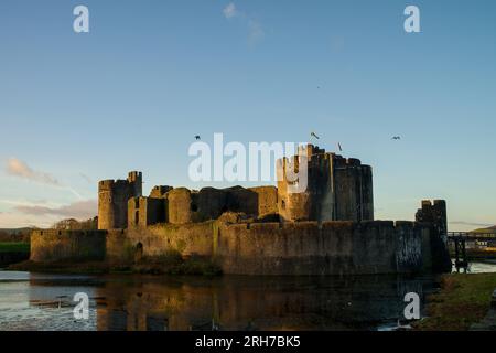 Château de Carphilly dans le sud du pays de Galles. Forteresse médiévale avec moad. Banque D'Images