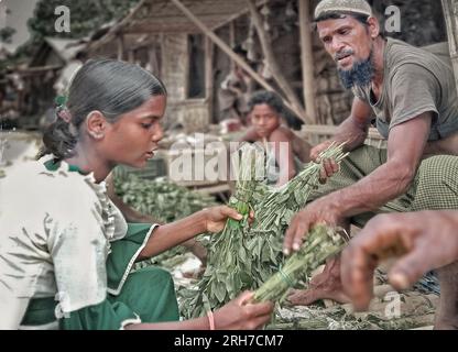 Un stand de légumes à l'extérieur du camp de réfugiés de Balukhali. Environ 919 000 000 réfugiés Rohingyas vivent dans les camps de Kutupalong et de Nayapara dans la région de Cox’s Bazar, qui sont devenus l’un des camps les plus vastes et les plus densément peuplés au monde. Bangladesh. Banque D'Images