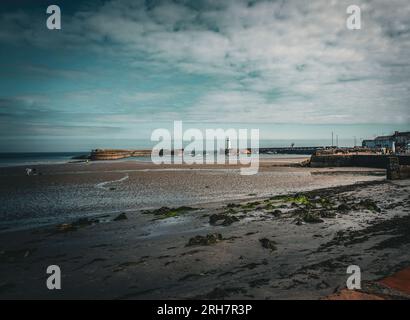Le front de mer à Donaghadee, County Down, Irlande du Nord avec le phare blanc bien connu au loin. Banque D'Images