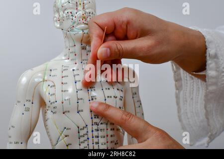 Une main de femme enfonçant une aiguille d'acupuncture dans un mannequin humain, apprenant et pratiquant l'acupuncture. Banque D'Images