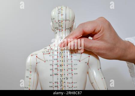 Une main de femme enfonçant une aiguille d'acupuncture dans un mannequin humain, apprenant et pratiquant l'acupuncture. Banque D'Images