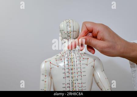 Une main de femme enfonçant une aiguille d'acupuncture dans un mannequin humain, apprenant et pratiquant l'acupuncture. Banque D'Images