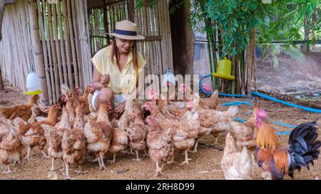 Femmes asiatiques cueillant des œufs dans une ferme écologique en Thaïlande. Ferme écologique avec poulet en Thaïlande Banque D'Images