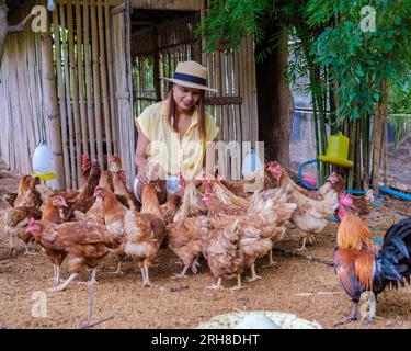 Femmes asiatiques cueillant des œufs dans une ferme écologique en Thaïlande. Ferme écologique avec poulet en Thaïlande Banque D'Images