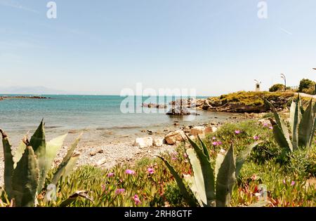 Végétation de plage d'aloès et de glace de premier plan en vue de l'horizon méditerranéen dans l'image de vieux style fané. Banque D'Images