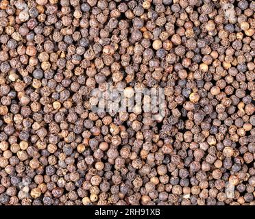 Fond alimentaire.granules de poivre noir fermer.plat Banque D'Images