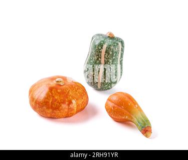 Trois petites citrouilles décoratives de couleurs différentes sur fond blanc Banque D'Images