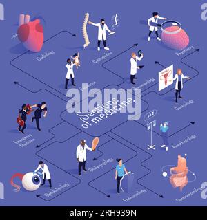 Sections de la médecine diagramme isométrique avec cardiologie pédiatrie médecine d'urgence orthopédie psychiatrie gynécologie et autres descriptions vecteur Illustration de Vecteur
