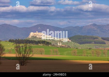 Château de SPIS en Slovaquie dans les champs verts Banque D'Images