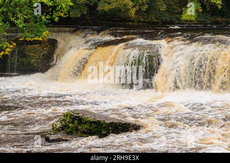 Aysgarth Falls sur la rivière Ure à Wensleydale dans le parc national des Yorkshire Dales. Aysgarth, North Yorkshire, Angleterre, Royaume-Uni, Grande-Bretagne, Europe Banque D'Images