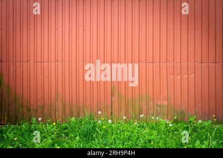 Fond de mur en étain ondulé rouge avec de l'herbe verte Banque D'Images