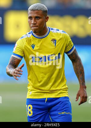 Cadix, Espagne. 14 août 2023. Darwin Machis de Cadix lors du match de Liga entre Cadiz CF et Deportivo Alaves a joué au Nuevo Mirandilla Stadium le 14 août à Cadix, Espagne. (Photo Antonio Pozo/PRESSINPHOTO) crédit : PRESSINPHOTO SPORTS AGENCY/Alamy Live News Banque D'Images