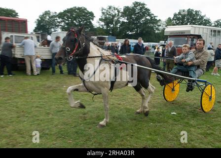 Barnet Gypsy Horse Fair Hertfordshire Royaume-Uni. Père et fils montrant un poney trotting thats à vendre. 2010s 2011 en 1588, la reine Elizabeth I accorde à Bartnet une charte royale pour tenir une foire. HOMER SYKES Banque D'Images