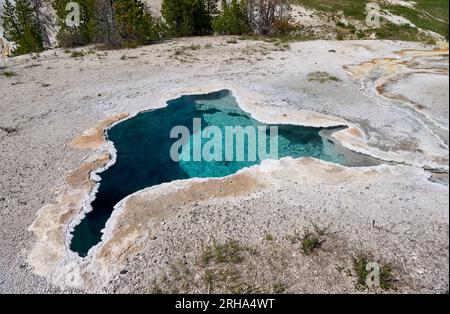 Blue Star Spring, Upper Geyser Basin, parc national de Yellowstone, Wyoming, États-Unis d'Amérique Banque D'Images