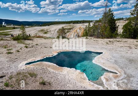 Blue Star Spring, Upper Geyser Basin, parc national de Yellowstone, Wyoming, États-Unis d'Amérique Banque D'Images