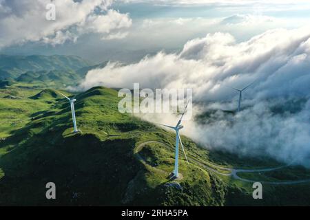 (230815) -- GUIYANG, 15 août 2023 (Xinhua) -- cette photo aérienne prise le 19 août 2020 montre des éoliennes dans le comté de Hezhang, dans la province du Guizhou, au sud-ouest de la Chine. Guizhou a saisi l’occasion et fait de grands pas dans le développement de nouvelles industries énergétiques, telles que l’éolien et l’énergie photovoltaïque, ces dernières années. Tout en développant vigoureusement l’énergie verte, Guizhou a également exploité pleinement les terres sous panneaux photovoltaïques pour développer l’agriculture et l’élevage. À la fin de juin 2023, la capacité totale installée de nouvelles énergies à Guizhou avait atteint 21,81 millions de kilowatts. (Xinhua/L Banque D'Images