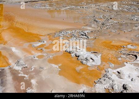 Bactérie orange dans Upper Geyser Basin, parc national de Yellowstone, Wyoming, États-Unis d'Amérique Banque D'Images