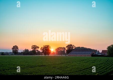 Une photographie captivante capturant l'essence de la tranquillité rurale alors que le soleil se lève gracieusement entre les arbres bordant les champs enchanteurs de la ferme au loin. Les rayons dorés projettent une lueur chaude sur le paysage serein, créant une scène pittoresque qui respire la paix, la beauté et la promesse d'un nouveau jour à la campagne. Sunrise Serenity : campagne rurale avec Golden Sun Peeking à travers les arbres. Photo de haute qualité Banque D'Images