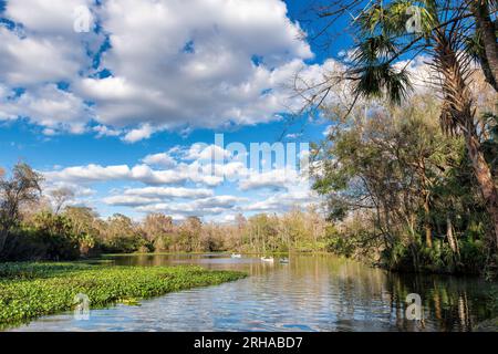 Magnifique parc d'État de Wekiwa Springs, lac et forêt tropicale au coucher du soleil à Orlando, Floride. Banque D'Images