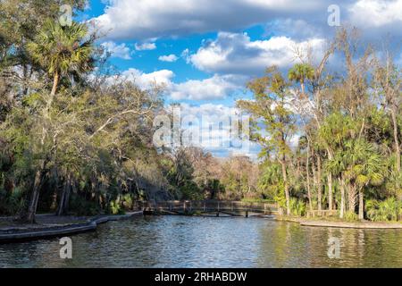 Magnifique parc d'État de Wekiwa Springs, lac et forêt tropicale au coucher du soleil à Orlando, Floride. Banque D'Images